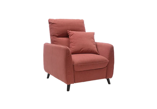 Leisure Chair